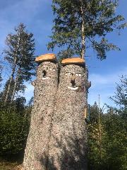 Appartement Sternblick in Sankt Englmar