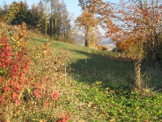 Ferienhaus Nienaber in Grafenau