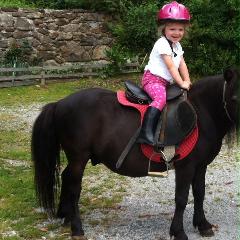Ponyhof Killinger  in Zwiesel
