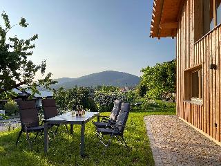 Bayerwald Chalet Kaitersberg in Arnbruck