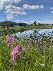 Naturspiel in Pösing