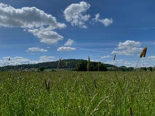 Naturspiel in Pösing