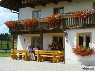 Beim Bergler in Neureichenau