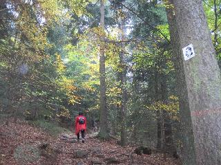Gschwandnerhof  in Michelsneukirchen