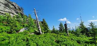 Woidwogn in Mauth