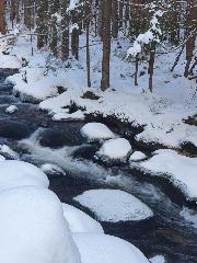 Woidwogn in Mauth