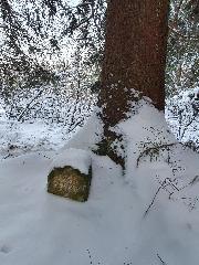 Woidwogn in Mauth