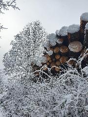 Woidwogn in Mauth