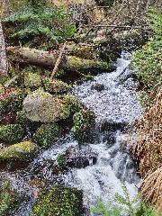 Woidwogn in Mauth