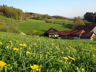 Ferienhof Irlmühl in Schwarzach
