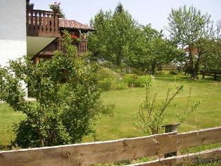 FeWo Franziska in Langdorf