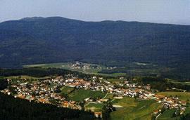 Pension-Bauernhof Kaufmann  in Langdorf