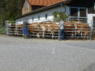 Kinderparadies + Bio-Bauernhof in Schönberg