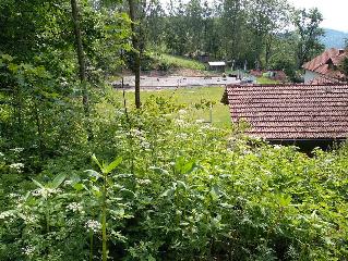 Kinderparadies + Bio-Bauernhof in Schönberg