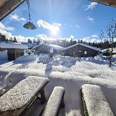 Blockhaus 7 & 10 Zipflwiese  in Sankt Englmar 