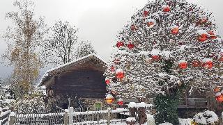 FeWo H.Reußwig in Arrach