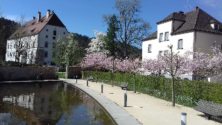 Ferienappartement 