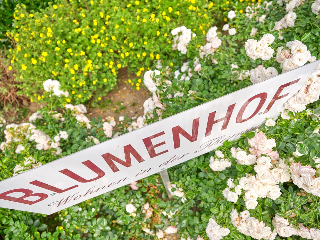 Appartement-Haus Blumenhof in Bad Griesbach i. Rottal
