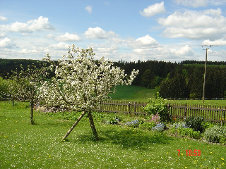 Pension Steiger in Bad Griesbach / Weng
