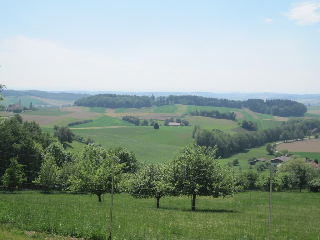 Ferienwohnung Baier in Bad Griesbach i. Rottal