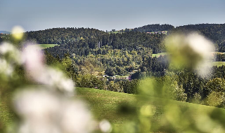 Bio-Ferienhof Höfler in Untergriesbach