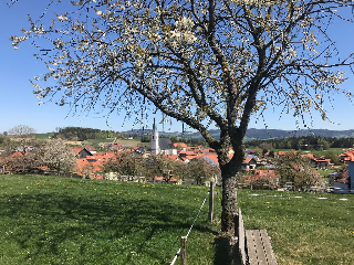Stan´s bed & breakfast in Untergriesbach