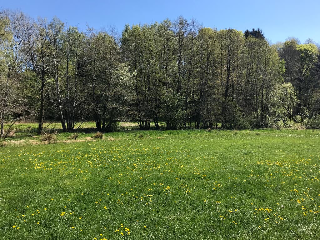 Stan´s bed & breakfast in Untergriesbach