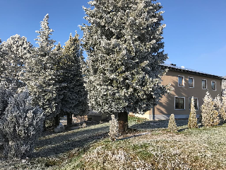 Stan´s bed & breakfast in Untergriesbach
