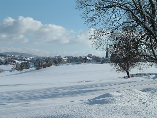 Haus 7 Brunnen in Wegscheid