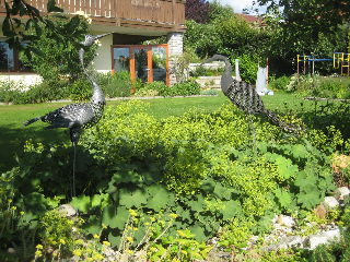 Haus 7 Brunnen in Wegscheid
