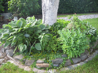 Haus 7 Brunnen in Wegscheid