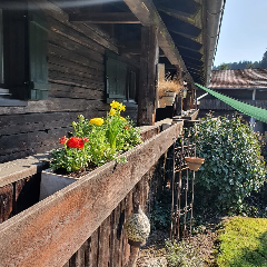 Ferienhaus 