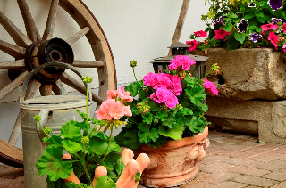 Ferienwohnungen Stuiber in Haarbach