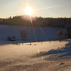 Ferienhof Schrädobler in Kößlarn