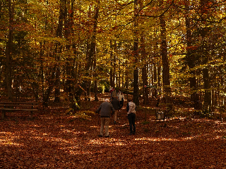 FeWo KeDo in Neukirchen vorm Wald
