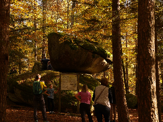 FeWo KeDo in Neukirchen vorm Wald