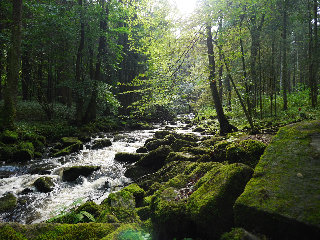 FeWo KeDo in Neukirchen vorm Wald