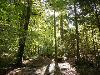 FeWo KeDo in Neukirchen vorm Wald
