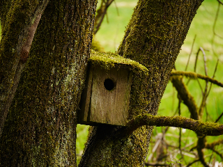 FeWo KeDo in Neukirchen vorm Wald