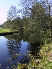 Ferienhof Neukirchinger in Tiefenbach