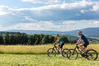 Wellness & Naturresort Reischlhof **** Superior in Wegscheid