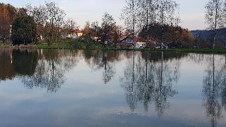 Ferienhäuser zum Badeweiher  in Neuschönau