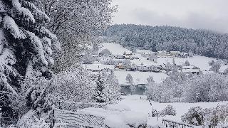 Ferienhäuser zum Badeweiher  in Neuschönau