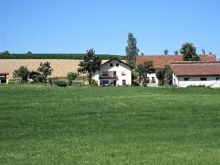 Gschwandnerhof  in Michelsneukirchen