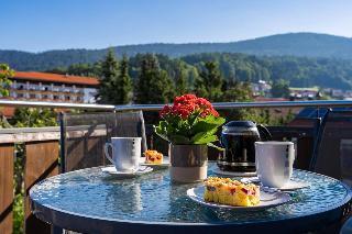 Pension Bayerwald  in Bodenmais