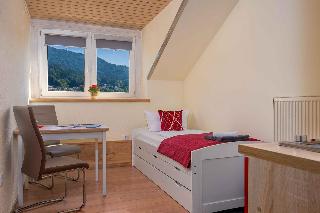 Pension Bayerwald  in Bodenmais