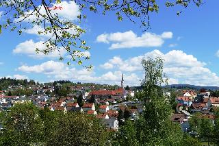 Ferienwohnung Geyersberg inkl. aktivCARD Bayerischer Wald in Freyung