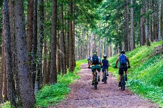 Ferienwohnungen Traumblick im Ferienpark Geyersberg in Freyung