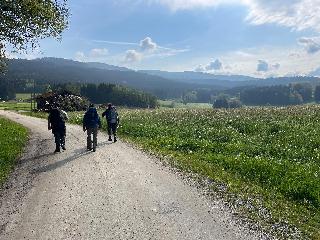 Ferienwohnungen Traumblick im Ferienpark Geyersberg in Freyung