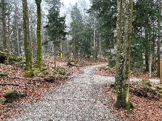 Ferienwohnungen Traumblick im Ferienpark Geyersberg in Freyung